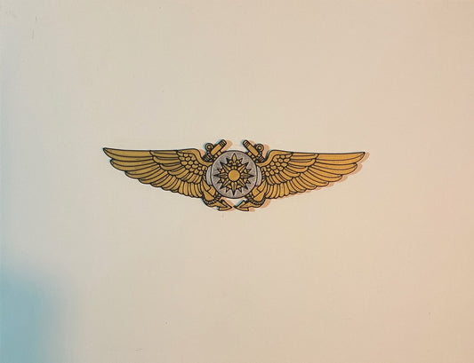 Marine Aerial Navigator Wings 3D printed display